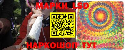 a pvp Шелехов