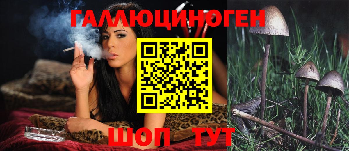 Ачинск  Псилоцибиновые грибы ЛСД  Псилоцибиновые грибы мухоморы  что такое   Вход с VPN 